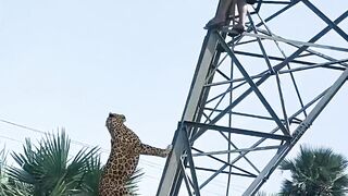 Today viral video 4