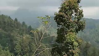 Pegunungan di Indonesia