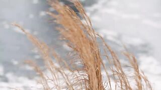 Twenty One Pilots - Midwest Indigo (Official Video)