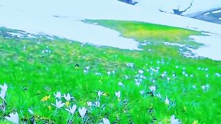309,status,status video,status song,status whatsap,beast song,good song
