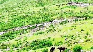 311,,status,status video,status song,status whatsap,beast song,good song 2