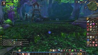 WOW Раэна - санитар Ясеневого леса, где найти железное навершие. World of Warcraft
