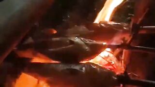 bakar ikan