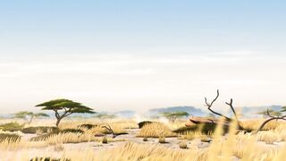 ITFS 2013- Trailer 'Rollin Safari'.