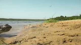 Sneaky croc camera captures incredible footage _ Spy in the Wild - BBC.