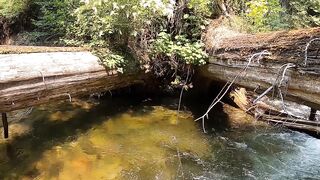An exceptional trout stream!