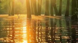 Beautiful nature 187
