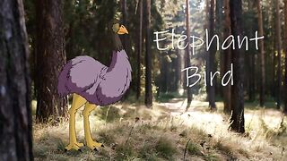 Elephant Bird.