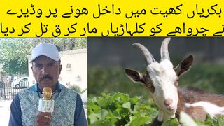 بکریاں کھیت میں داخل ھونے پر وڈیرے نے چرواھے کو کلہاڑیاں مار کر ق تل کر دیا