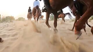 Horse Riding Life style