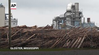 Wood pellets boom in the US raises health and environmental concerns.