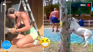 TOTAL IDIOTS AT WORK Instant Regret Compilation