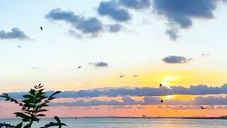 Beautifull 11