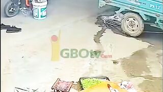 This_dog_is_wicked