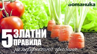 5 ЗЛАТНИ ПРАВИЛА ЗА ПЕРФЕКТНА ГРАДИНА