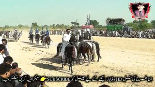 #horsedance #foryoupage#fypviral#foryou #viral #imrankhan#fypシ゚viral#horsedance2024#viralvi#12