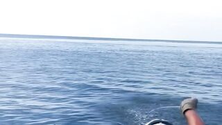 Marlin fish Attack