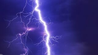ZB-02 heavy rain and the great creation of Thunder cutting down big tree
