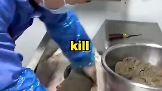 Bizzare Facts You Didn't Know