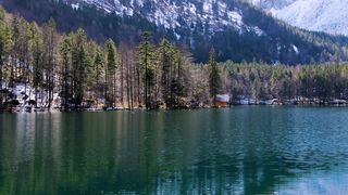 A clear, blue lake surrounded by pine trees