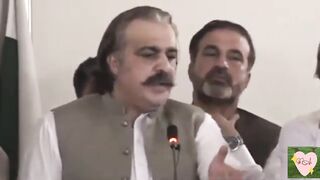 PTI Ali Amin Gandapur Demands Institutions To Stay Neutral