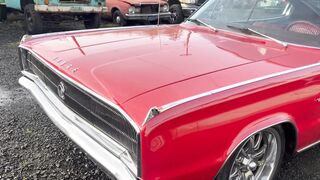 cars 44