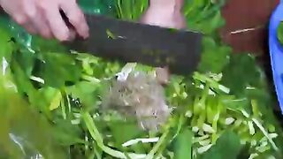 Vietnamese street food, don’t you want to take a bite?