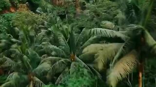 hutan itu indah