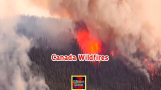 Historic Canadian tourist town Jasper left devastated after 100m wildfire