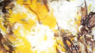 Chicken beryani