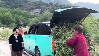 a car that has no value
