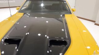 cars 1972/19
