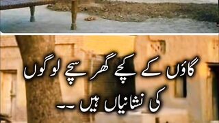 Aqwal e zareen in urdu Hindi ????❤️