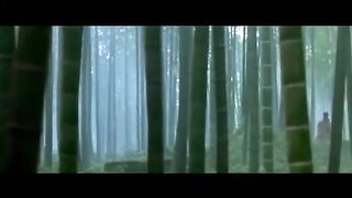 House of Flying Daggers   Bamboo forest fight