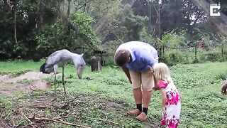 ANGRY EARTH - Episode 13 Animals Are Not Trophies.