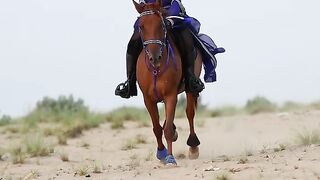 Horse Riding beautiful view