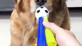 dog blowing a trumpet