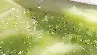 Ternak lele skala kecil untuk konsumsi rumahan