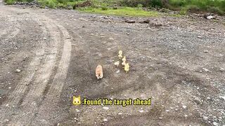The kitten is so funny, taking the duck to find treasure