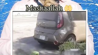 Parrot recite surah al samad