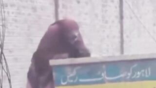 مجھے راہزنوں سے گلہ نہیں، تیری رہبری کا سوال ہے۔????