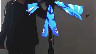The holographic fan that produces 3D images ????
