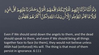 Juz' 8 - ???? ENGLISH ONLY Recitation with Arabic_English Text. Night Mode (Dark Background)