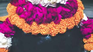 हर संकट काटे भोलेनाथ #reels #reelsinstagram #mahakal #shiva #shambhu #baba #songs #tranding.