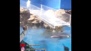 Kamera Tersembunyi: Reaksi Lucu Saat Teman Kena Prank