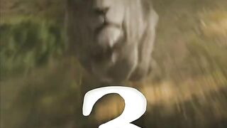 Trailer movie