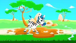 Little Zebra lost his Stripes! _ Animal Songs _ by Little Angel.