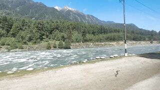 see nature