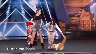 kelebihan kucing ketika di latih