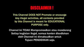 SEDIH ! DRIVER ONLINE TUA DI G0ROK
